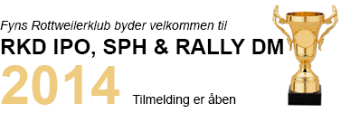RKD-IPO-SPH-og-RALLY-DM-2014